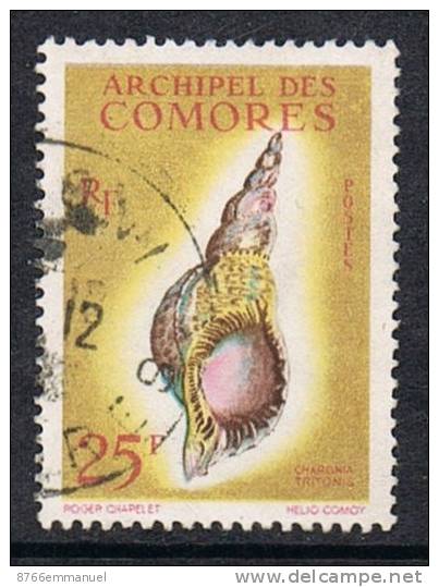 COMORES N°24  Coquillage - Oblitérés