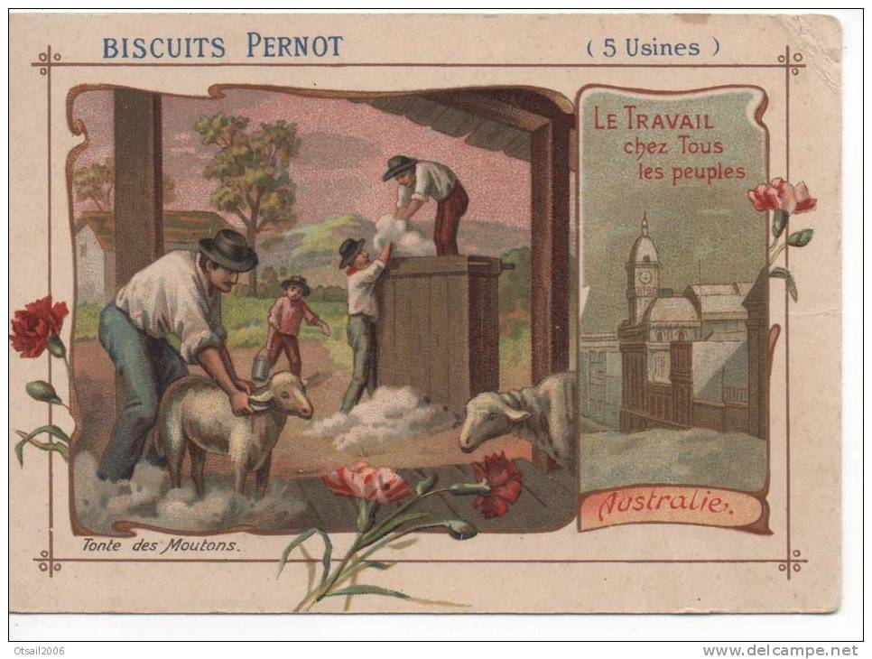 Chromos -  Biscuits Pernot   (  5  Usines ) - Le Travail Chez Tous Les Peuples :  AUSTRALIE - Pernot