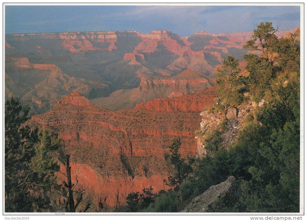 BR23131 Grand Canyon National Park Arizona   2 Scans - Grand Canyon