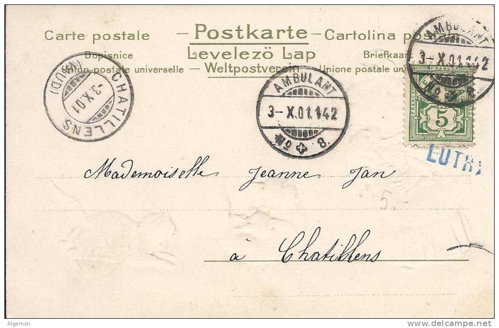 4855 - Enfant Et Deux Chatons + Cachet Linéaire Lutry - Altri & Non Classificati