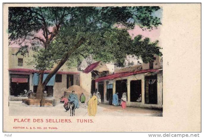 TUNIS - Place Des Selliers - Ane    (47939) - Tunisie