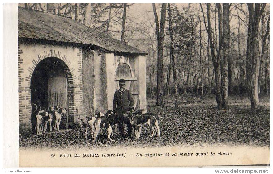 Le Gavre   Forêt Du Gavre   Chasse A Courre   Un Piqueur - Le Gavre