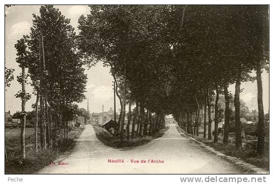 N°24132 -cpa Neuillé -vue De L´Arche- - Neuillé-Pont-Pierre