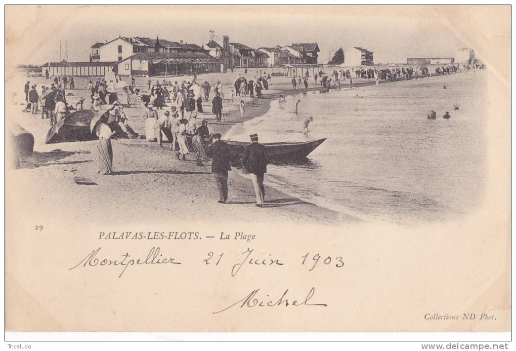 PALAVAS LES FLOTS . LA  PLAGE . DOS SIMPLE  1903. TIMBRE GRIS VERT 1 C.   TRES ANIMEE - Palavas Les Flots