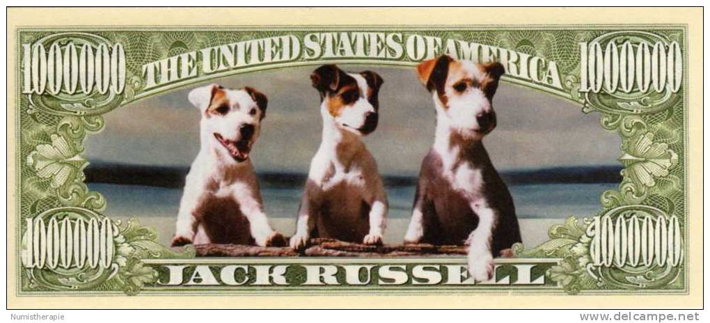 Fictif USA : 1 Million Doggie Bones : Jack Russell Terrier - Autres & Non Classés