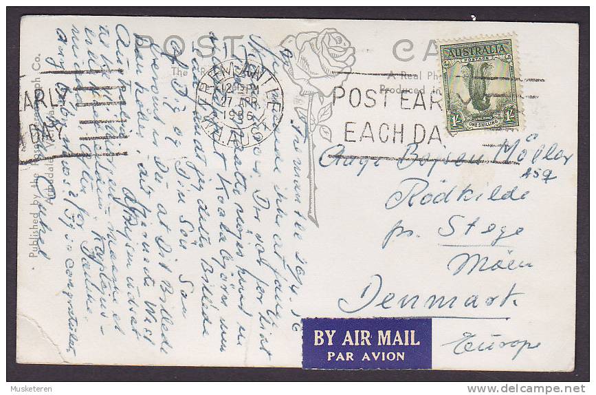 ## Australia Airmail Par Avion Label Wombat With Young Rose Series FREEMANTLE 1956 To STEGE Denmark Real Photo (2 Scans) - Otros & Sin Clasificación