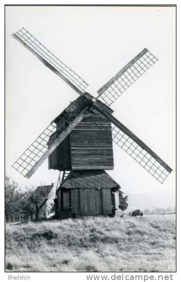 SAINT-SAUVEUR / Frasnes-lez-Anvaing (Hainaut) - Molen/moulin/mill/mühle - Moulin Valentin En 1977. Une Très Belle Carte. - Frasnes-lez-Anvaing