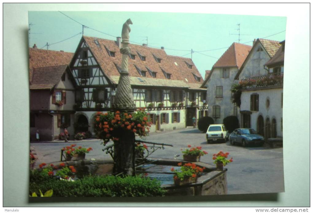 D 67 - Dambach La Ville - Maison Schaeffer Woerly - Dambach-la-ville