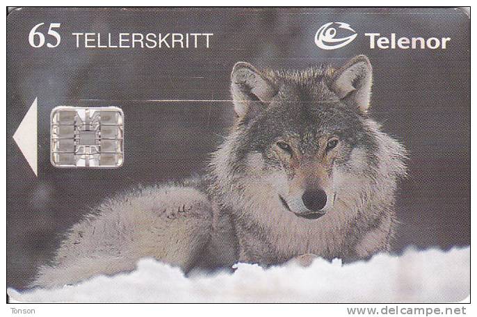 Norway, N113, Ulv / Wolf, Animal, CN : C83023359, 2 Scans. - Norvège