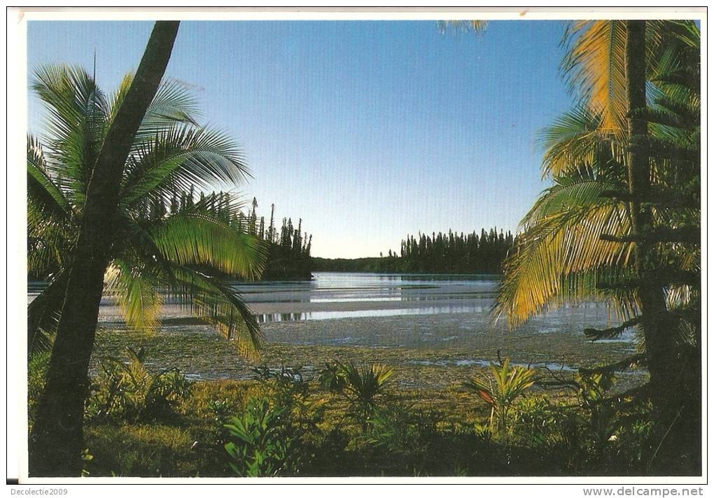 BR28163 Ile Des Pins Grande Maree Basse Baie Ugo  2 Scans - Neukaledonien