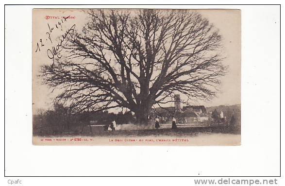 Carte 1909 LE GROS CHENE , Au Fond L'abbaye D'Etival (arbre) - Etival Clairefontaine