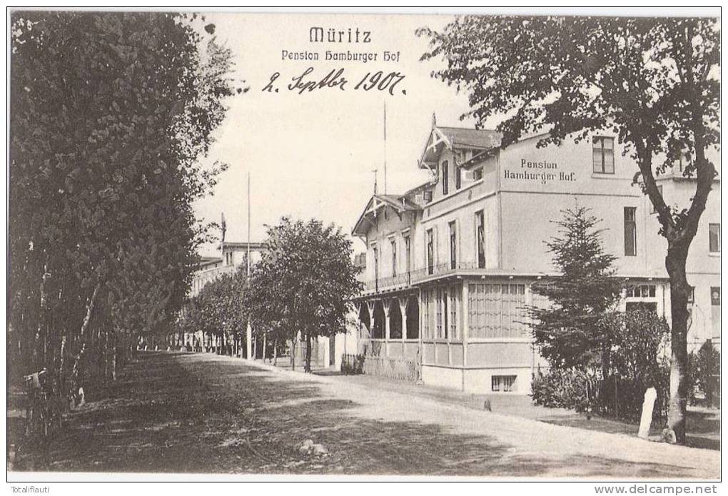 Graal Müritz Pension Hamburger Hof 2.9.1907 Gelaufen Fahrrad TOP-Erhaltung - Fischland/Darss