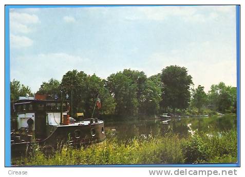 France ANDRESY BORDS DE SEINE Postcard  Unused - Andresy