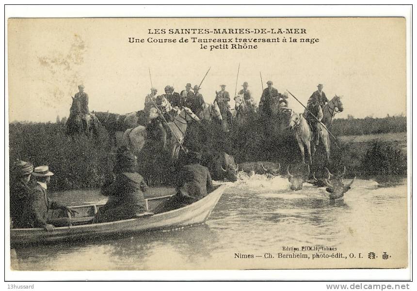 Carte Postale Ancienne Saintes Maries De La Mer - Une Course De Taureaux Traversant à La Nage Le Petit Rhone - Saintes Maries De La Mer