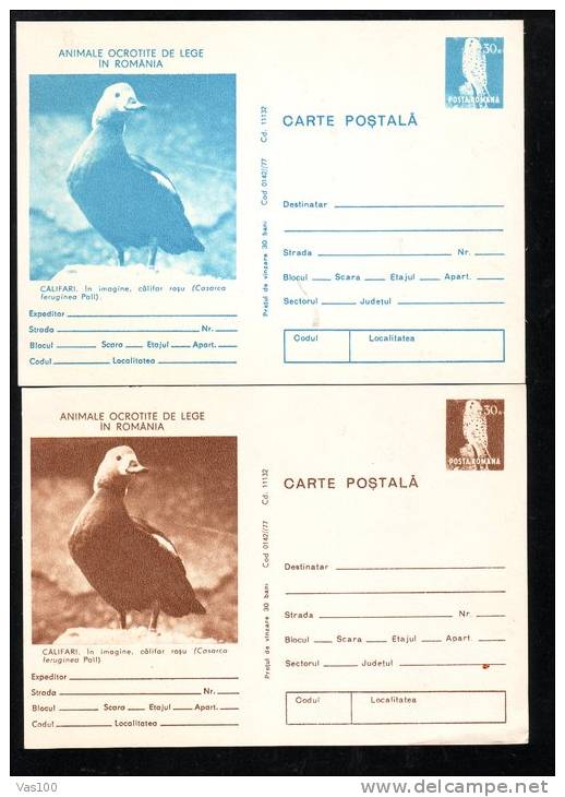 RUDDY SHELDUCK,TWO POSTCARDS,DIFFERENT COLORS,STATIONERY CARD,ENTIER POSTAL,UNUSED,ROMANIA - Storchenvögel