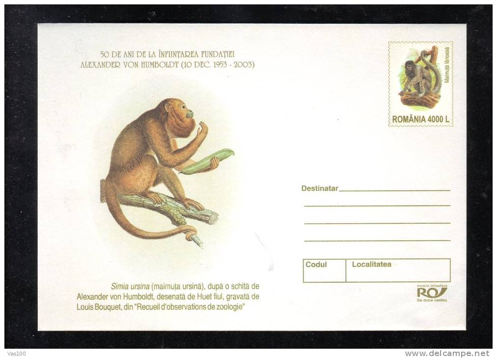MONKEY URSIAN,COVER STATIONERY ENTIER POSTAL,UNUSED,ROMANIA - Chimpanzees