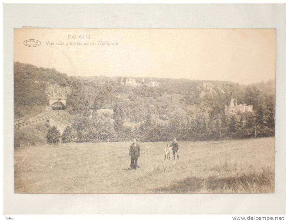 Falaen. Vue Très Pittoresque Sur Molignée. - Onhaye