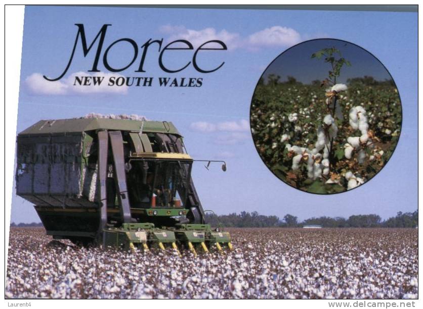 (849) Australia - NSW - Moree Farming Tractor In Cotton Field - Autres & Non Classés