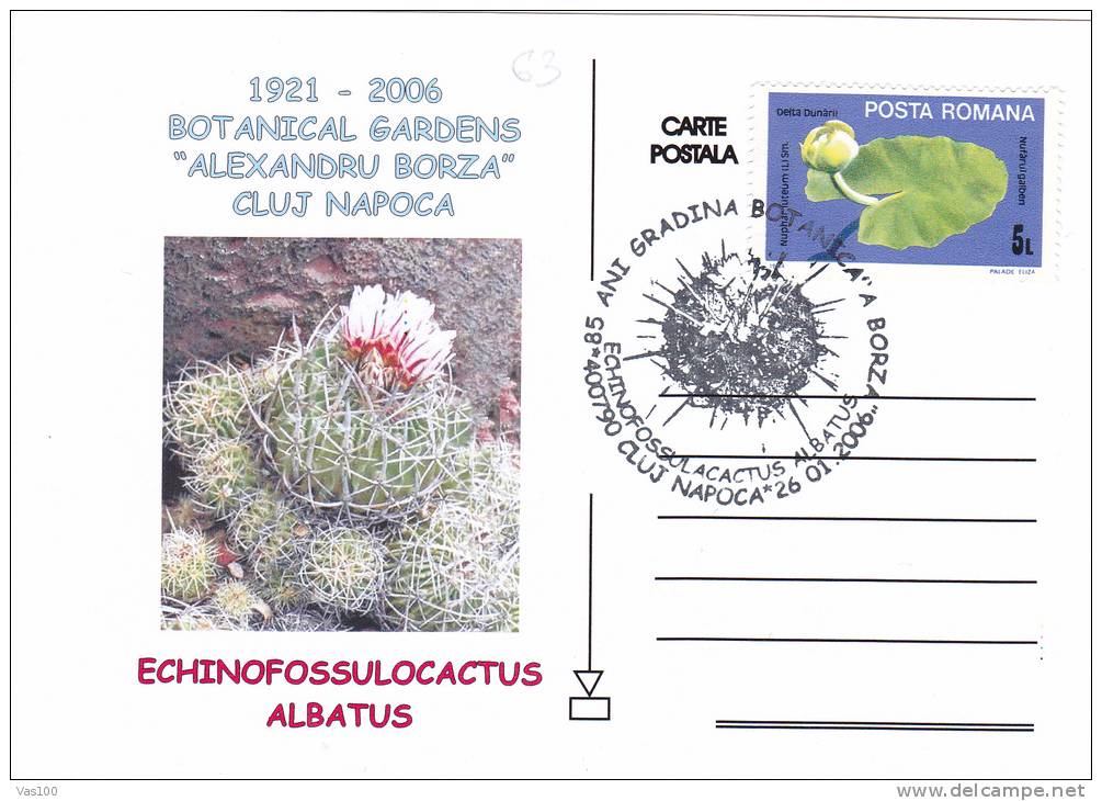 CACTUS,ECHINOFOSSULOCACTUS ALBATUS,BOTANICAL GARDENS"ALEXANDRU BORZA",2006,POST CARD,OBITERATION CONCORDANTE,ROMANIA - Cactus