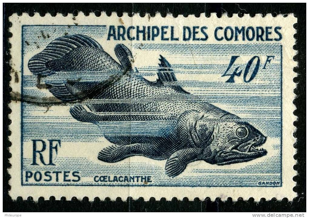 Comores (1954) N 13 (o) - Altri & Non Classificati