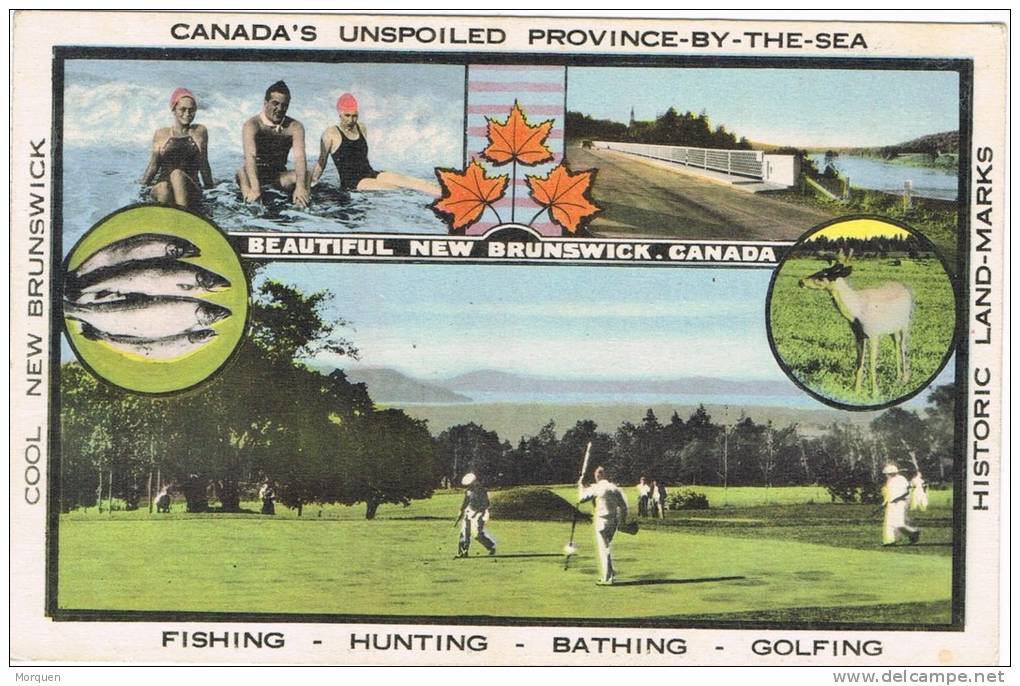 Postal CANADA, New Brunswick,  Fishing, Hunting, Bathing, Golfing - Autres & Non Classés