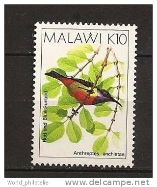 Malawi 1988 N° 528 ** Courant, Oiseau, Animaux, Anthreptes Anchietae - Malawi (1964-...)