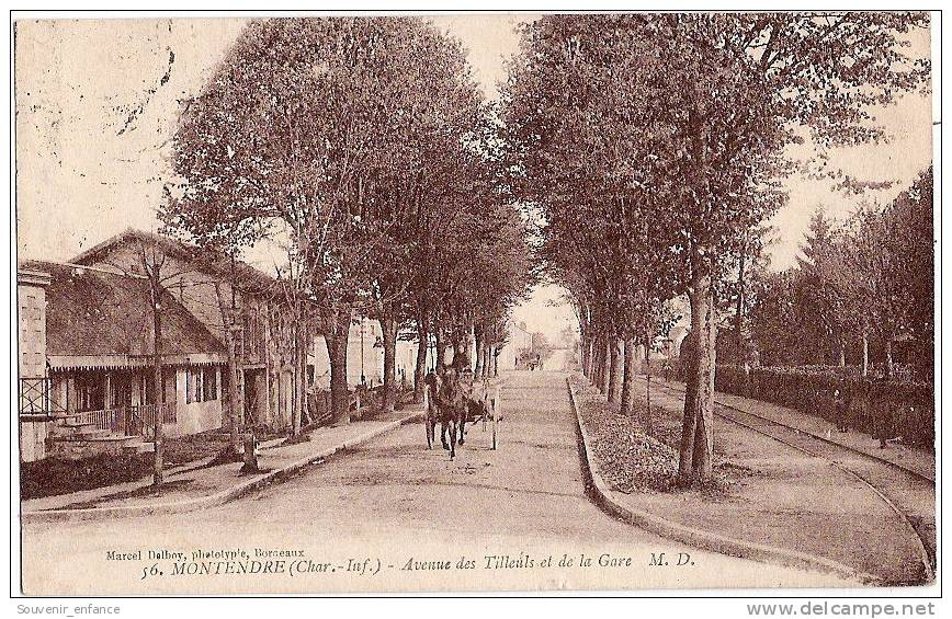 CPA Montendre Avenue Des Tilleuls Et De La Gare 17 Charente Maritime Attelage Cheval  Chevaux - Montendre