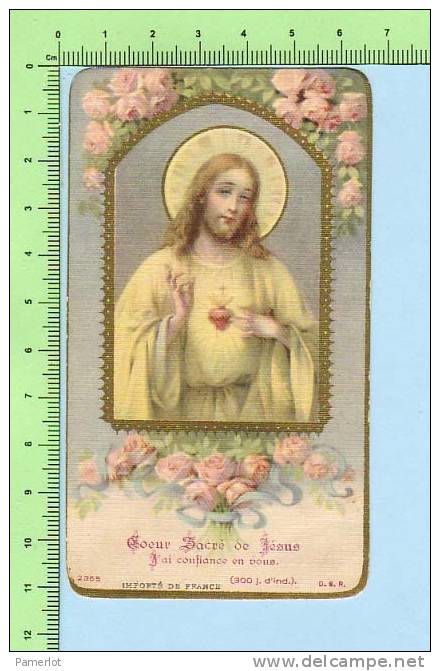 DSR-2355   Goldprint ( Coeur Sacré De Jésus J´ai... 300 Jours D´indul.. ) Image Pieuse  Holycard Santini - Santini