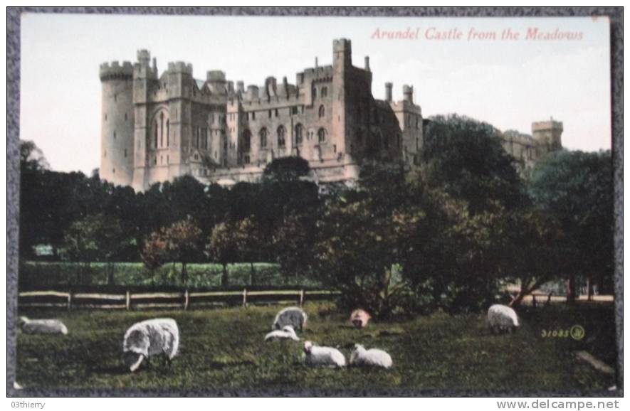 CPA ROYAUME UNI ANGLETERRE ARUNDEL CASTLE FROM THE MEADOWS Non Ecrite Superbe - Arundel