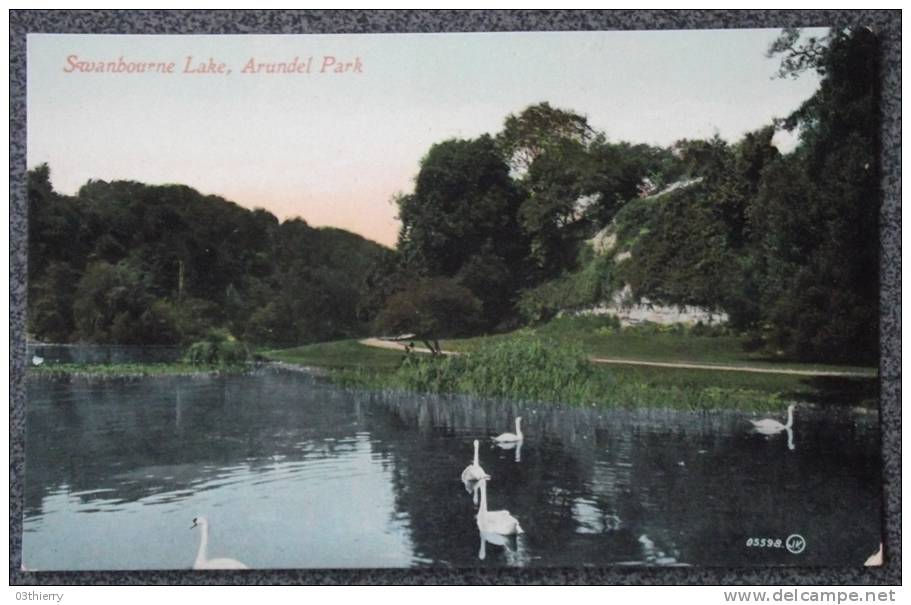 CPA ROYAUME UNI ANGLETERRE ARUNDEL PARK SWANBOURNE LAKE Non Ecrite Superbe - Arundel