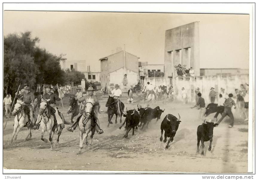 Carte Photo Ancienne Saintes Maries De La Mer - Course De Taureaux, Gardians - Saintes Maries De La Mer