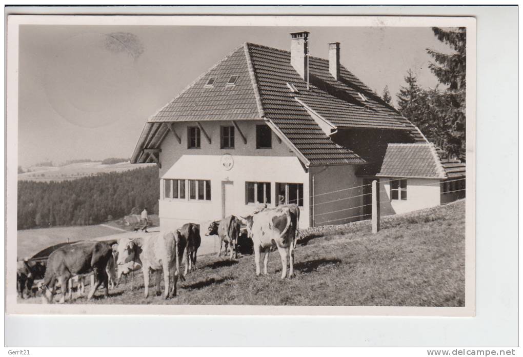 NATURFREUNDE - NFH - NFI - Naturfreundehaus Hatzenwald Kreis Säckingen - Landpoststempel Altenschwand - Labor Unions