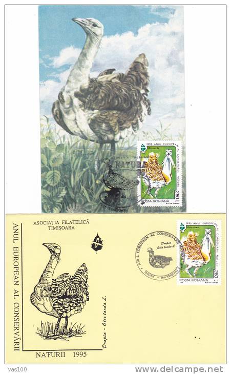 DROPIA,OTIS TARDA,1995, SPECIAL COVER+CM,MAXI CARD,CARTES MAXIMUM,ROMANIA - Gallinacées & Faisans