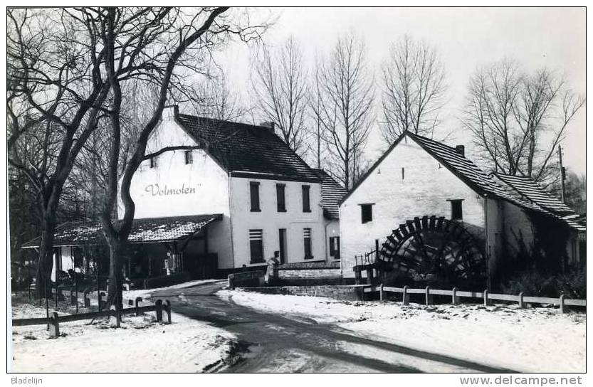 OPOETEREN ~ Maaseik (Limburg) - Molen/moulin/mill - Zwart-wit Kaart V.d. Volmolen Op De Bosbeek. Mooie Winteropname. - Maaseik