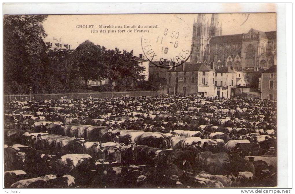 Cholet..très Animée..le Marché Aux Boeufs..bovins..vaches - Cholet