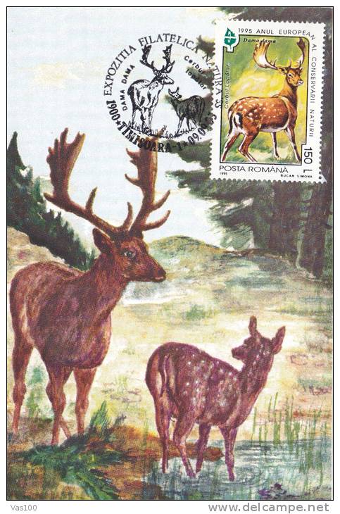 ROE DEER, 2X,CM,CARTE MAXIM,MAXIM CARD,SUCEAVA,1996,ROMANIA - Game