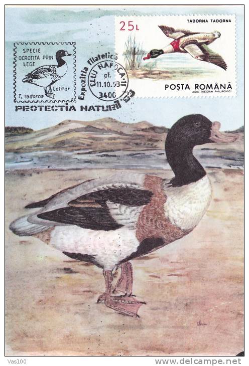 BIRDS,EXPOSITION PHILATELIC,CM,MAXI CARD,CARTES MAXIMUM,1993,ROMANIA - Cigognes & échassiers