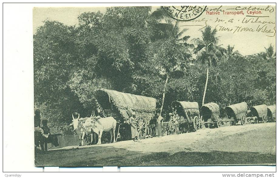 SRI LANKA - CEYLAN - Native Transport - (thé?) - Sri Lanka (Ceylon)