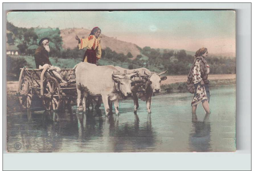 Romania  Ethnic-villagers Crossing  With Bullock- Bull-cart  Photo 1907 Ed. C Sfetea Ce1644 - Romania