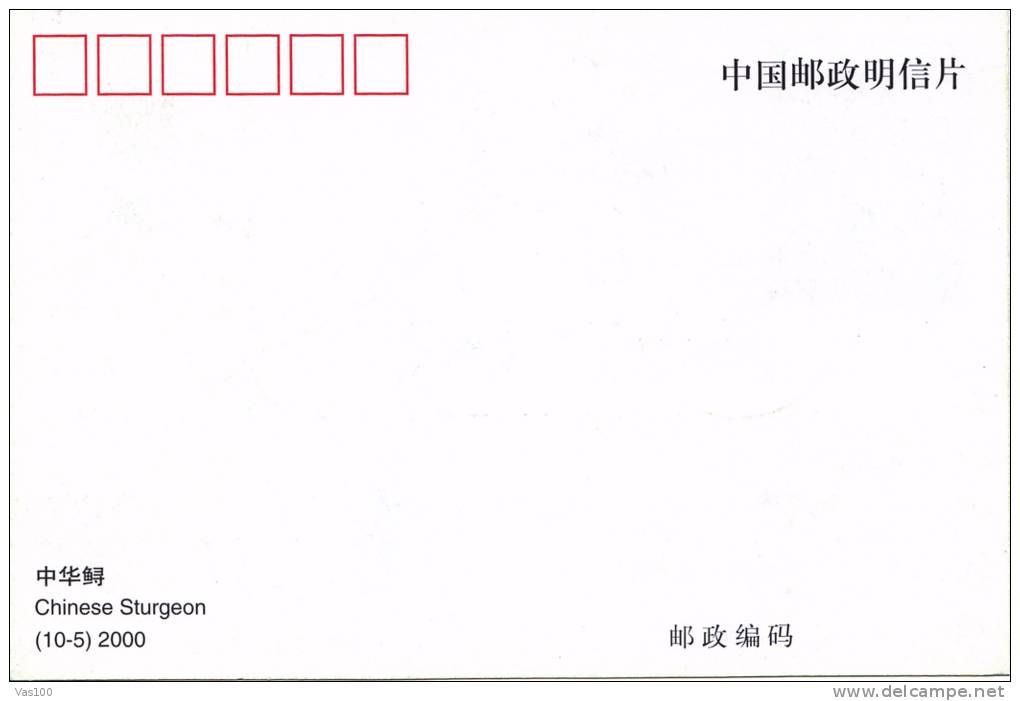 ALIGATOR SINESIS,CM,CARTE MAXIM,MAXI CARD,2000,CHINA - Kikkers