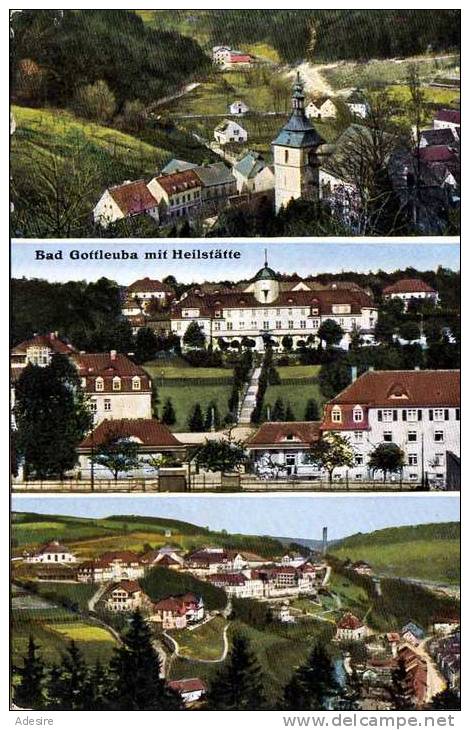 BAD GOTTLEUBA (Sachsen), Gelaufen Um 1935, Bahnpoststempel, Gute Erhaltung - Bad Gottleuba-Berggiesshuebel