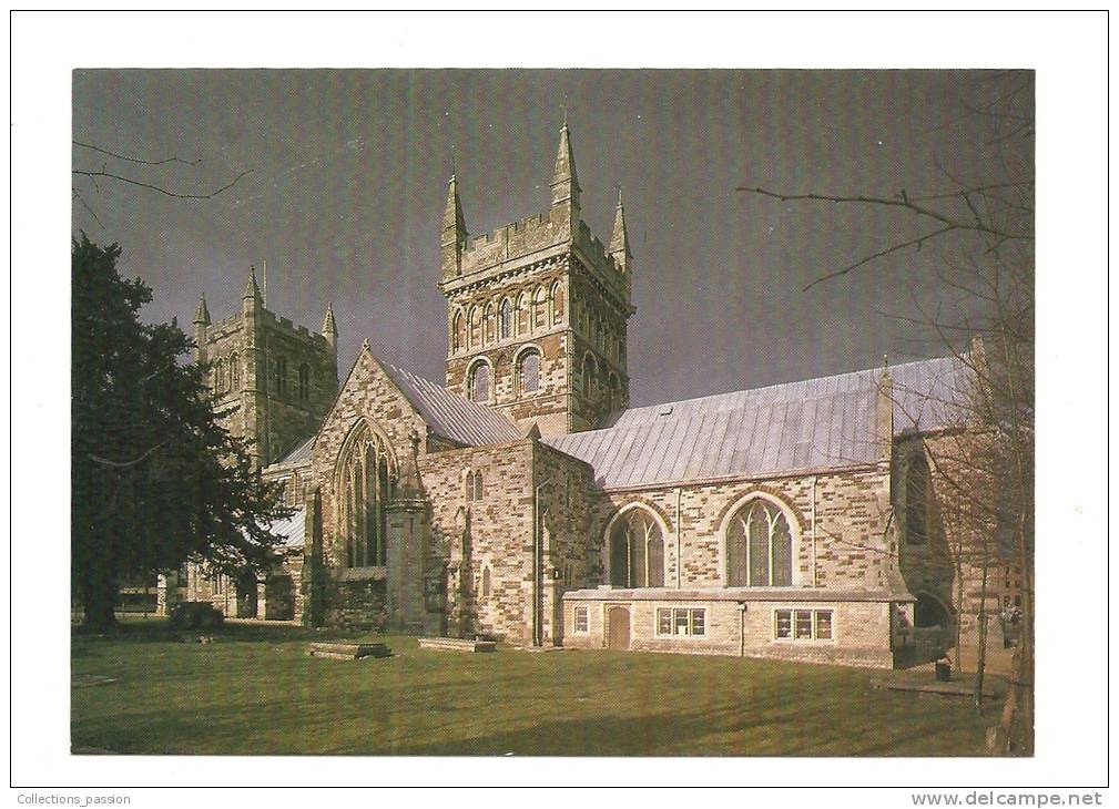 Cp, Angleterre, Wimborne Minster - Otros & Sin Clasificación