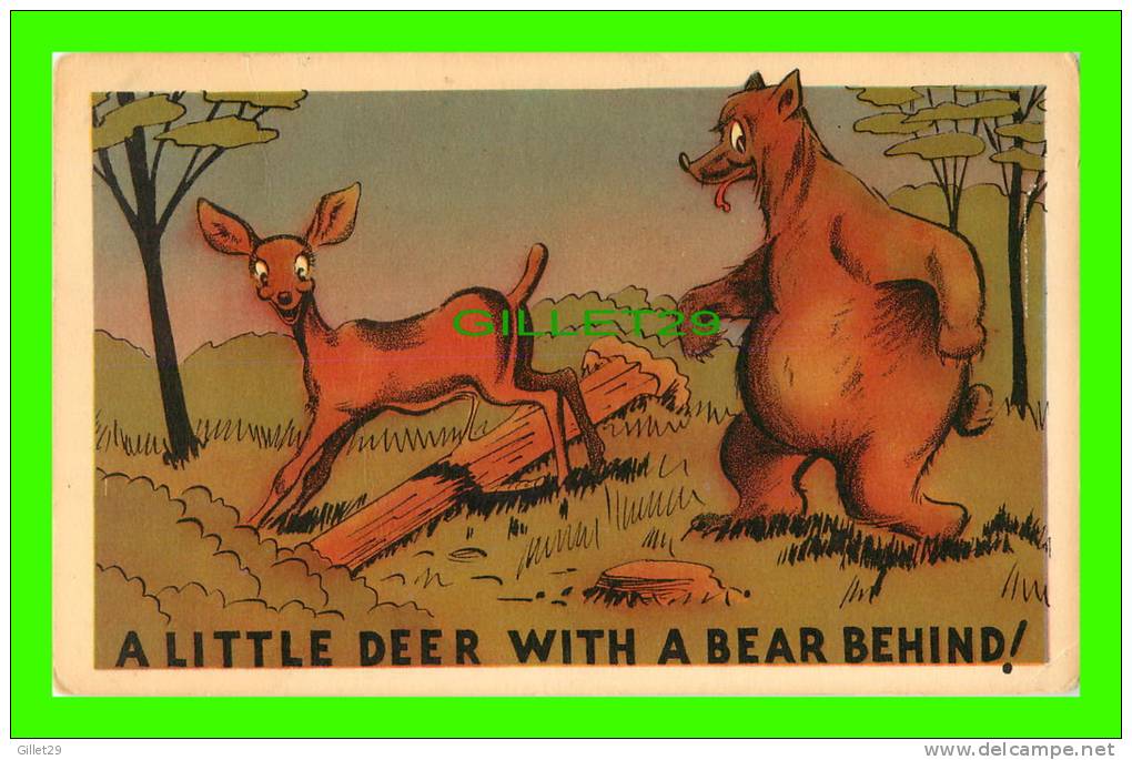 ANIMALS - A LTTLE DEER WITH A BEAR BEHIND - TRAVEL IN 1973 - PUB BY JACK H. BAIN - - Ours