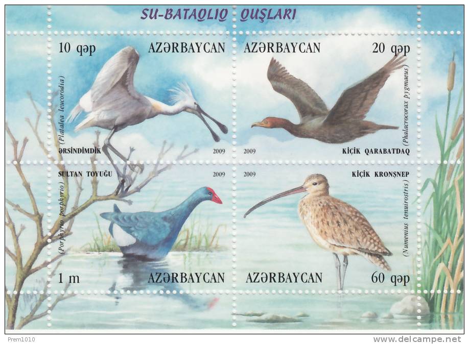 AZERBAIJAN- 2009- WATER BIRDS OF CENTRAL ASIAN MARSHES - MNH MINIATURE SHEET - Andere & Zonder Classificatie