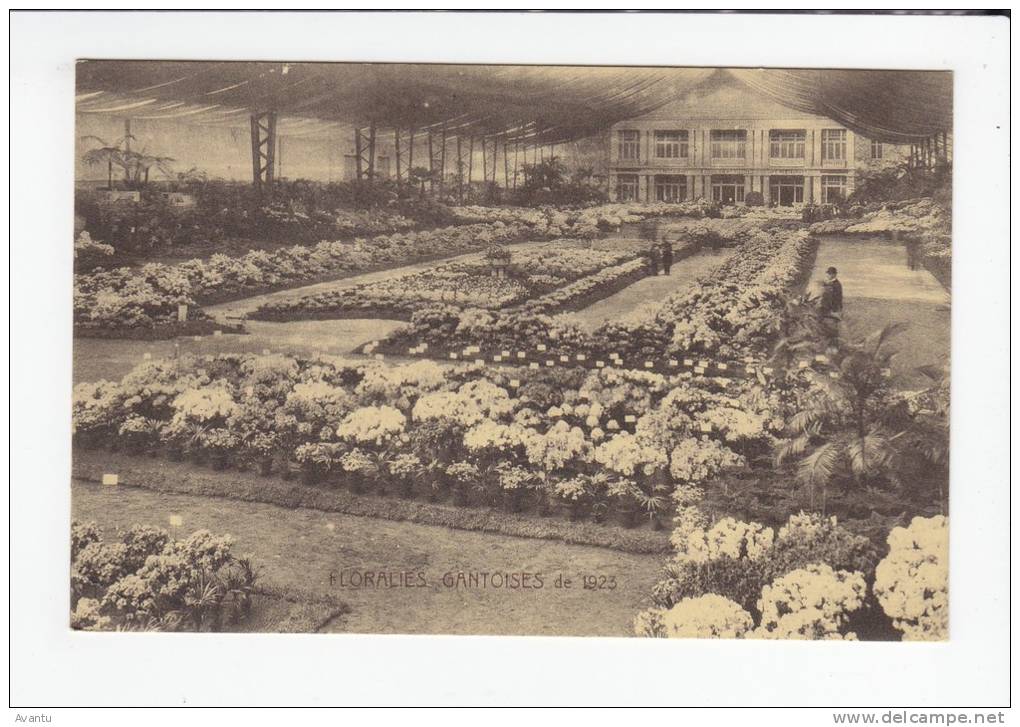 GENT / FLORALIEN 1923 / - Gent