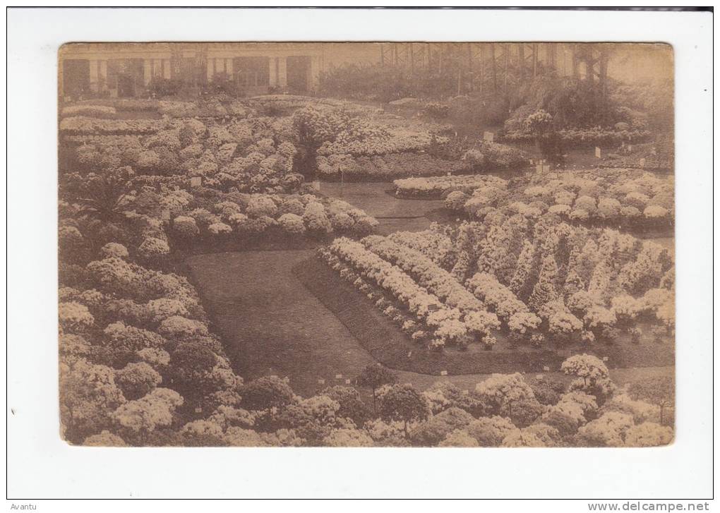 GENT / FLORALIEN 1928 / AZALEAS - Gent