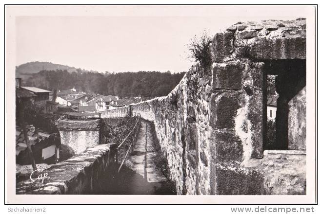 64. Cpsm. Pf. ST-JEAN-PIED-DE-PORT. Remparts. Citadelle. Chemin De Ronde. 53 - Saint Jean Pied De Port