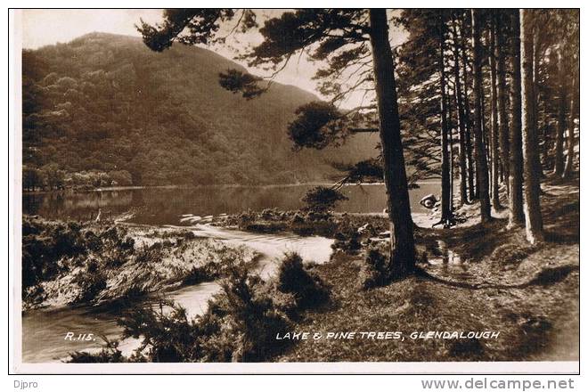 Glendalough  Lake And Pine Trees - Wicklow