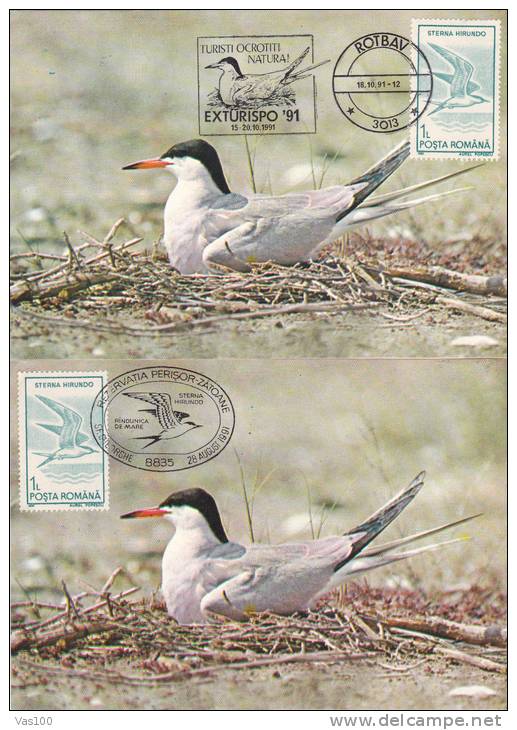 SWALLOW/HIRONDELLES,CM,CARTES-MAXIMUM,MAXI-CARDRESERVATION PERISOR-ZATOANE,1991,ROMANIA - Golondrinas