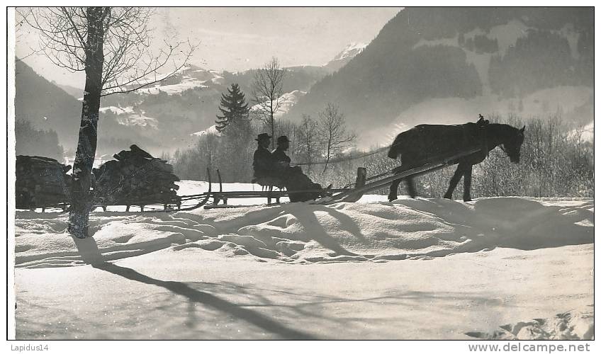 H H 169/ C P S M  -  ALLEMAGNE-  BERGBAUERN BEIM HOLZFUHREN - Andere & Zonder Classificatie